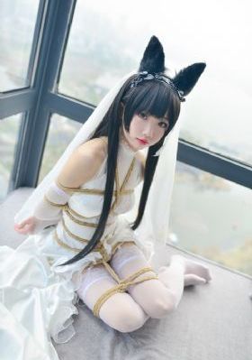 唐探4正版高清免费观看下载_HD电影在线观看